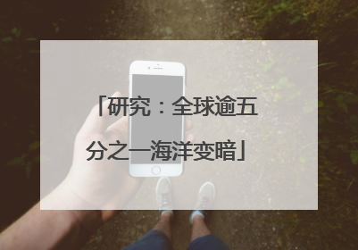 研究：全球逾五分之一海洋变暗